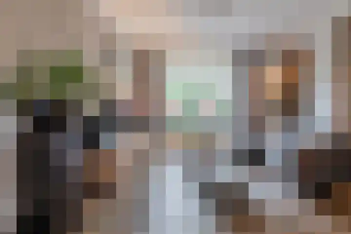 Spreeuwendonk 71 Veghel thumbnail 11