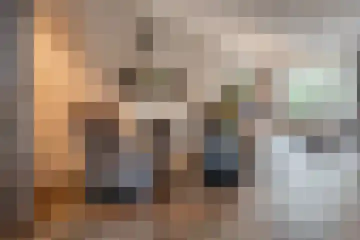 Spreeuwendonk 71 Veghel thumbnail 12