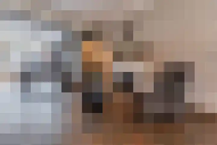 Spreeuwendonk 71 Veghel thumbnail 13
