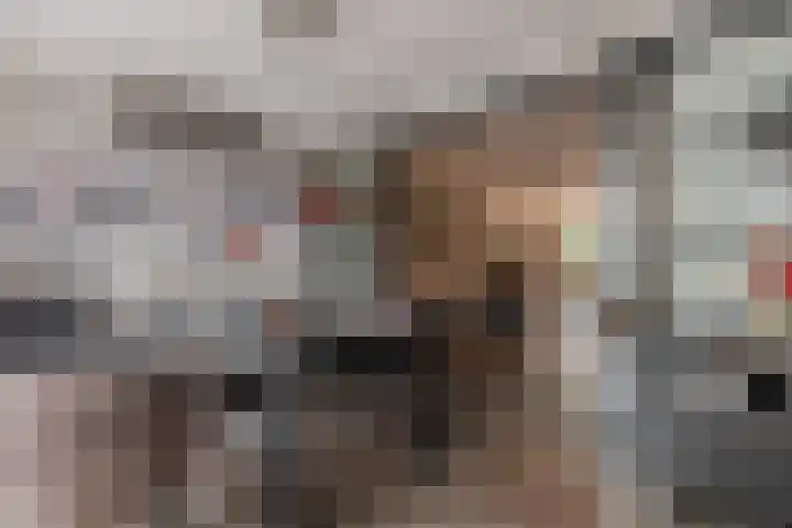 Spreeuwendonk 71 Veghel thumbnail 17