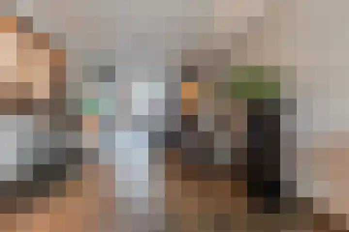 Spreeuwendonk 71 Veghel thumbnail 19