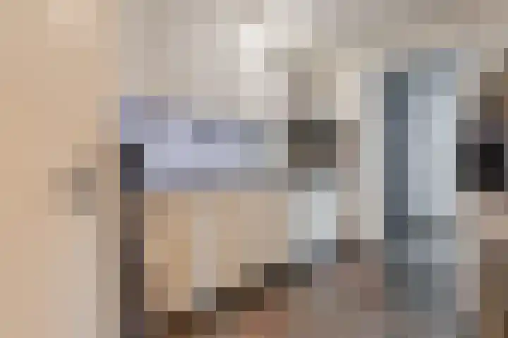 Spreeuwendonk 71 Veghel thumbnail 21