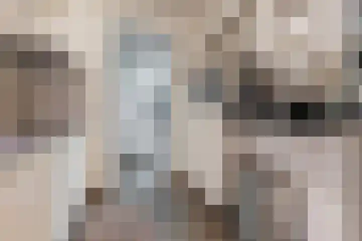 Spreeuwendonk 71 Veghel thumbnail 22