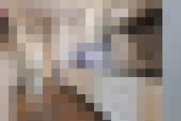 Spreeuwendonk 71 Veghel thumbnail 23