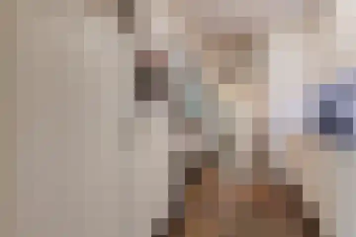 Spreeuwendonk 71 Veghel thumbnail 24