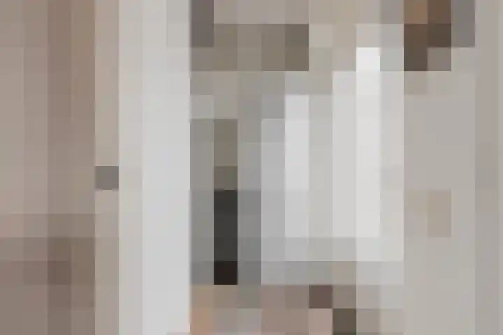 Spreeuwendonk 71 Veghel thumbnail 25