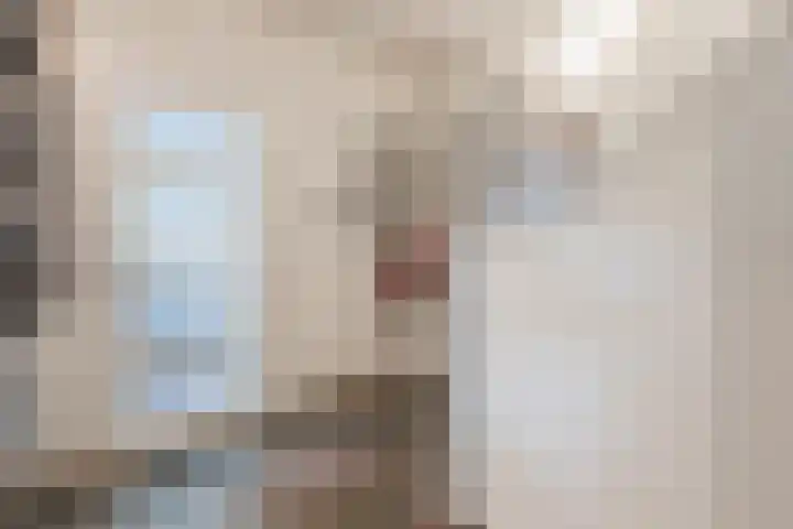 Spreeuwendonk 71 Veghel thumbnail 26