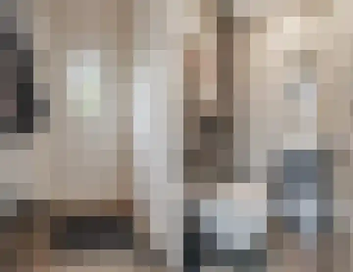 Spreeuwendonk 71 Veghel thumbnail 29