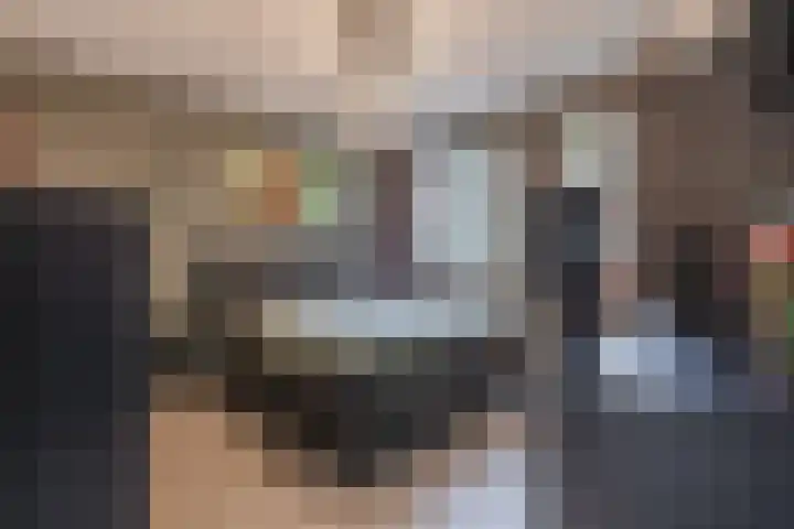Spreeuwendonk 71 Veghel thumbnail 30