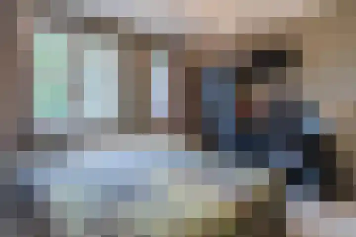 Spreeuwendonk 71 Veghel thumbnail 31