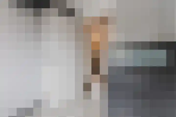 Spreeuwendonk 71 Veghel thumbnail 34