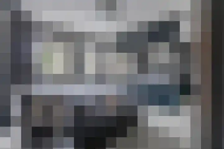 Spreeuwendonk 71 Veghel thumbnail 35
