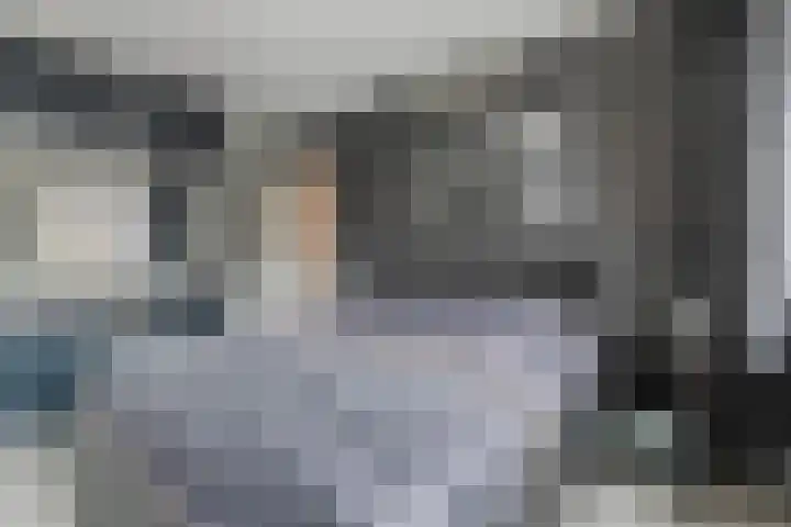 Spreeuwendonk 71 Veghel thumbnail 36