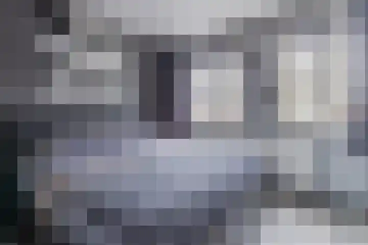 Spreeuwendonk 71 Veghel thumbnail 37