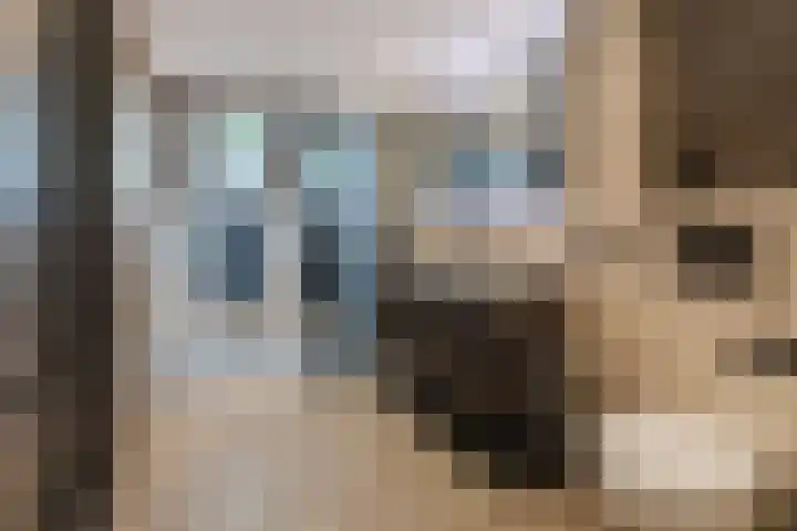 Spreeuwendonk 71 Veghel thumbnail 4
