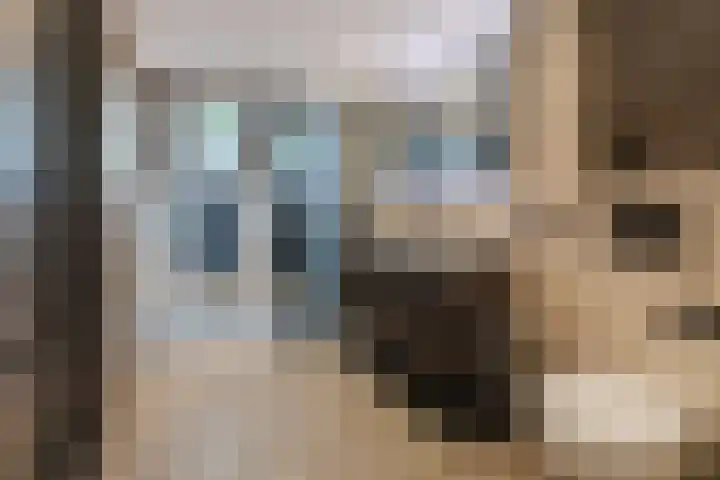 Spreeuwendonk 71 Veghel thumbnail 38