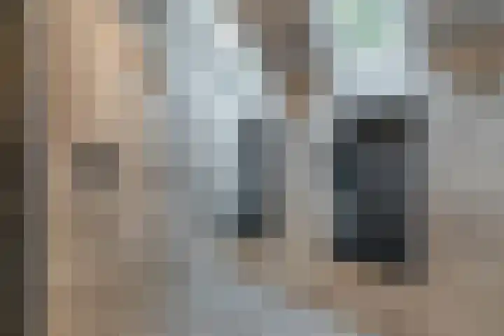 Spreeuwendonk 71 Veghel thumbnail 41