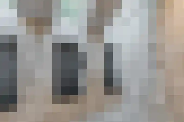 Spreeuwendonk 71 Veghel thumbnail 42