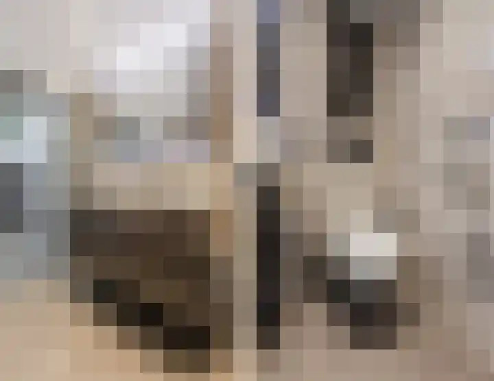 Spreeuwendonk 71 Veghel thumbnail 43