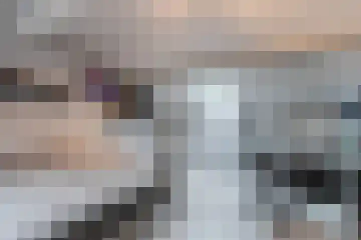 Spreeuwendonk 71 Veghel thumbnail 45