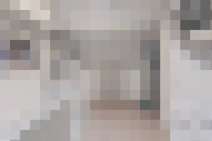 Spreeuwendonk 71 Veghel thumbnail 48