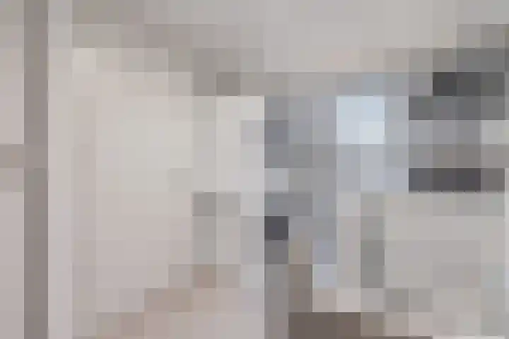 Spreeuwendonk 71 Veghel thumbnail 49