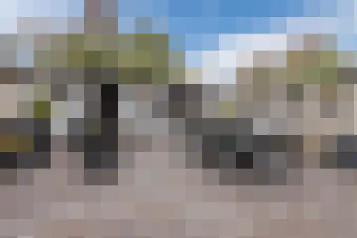 Spreeuwendonk 71 Veghel thumbnail 50