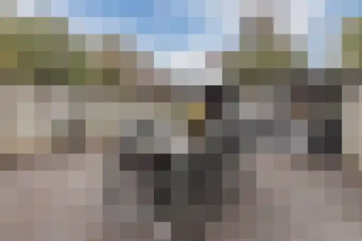 Spreeuwendonk 71 Veghel thumbnail 51