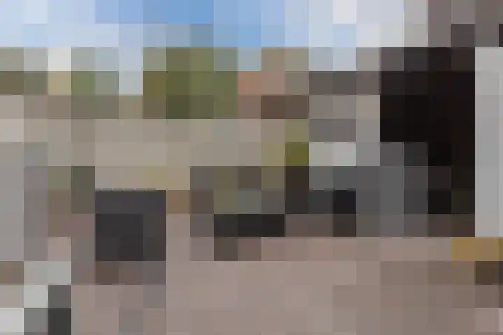 Spreeuwendonk 71 Veghel thumbnail 52