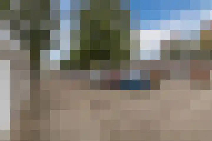 Spreeuwendonk 71 Veghel thumbnail 55
