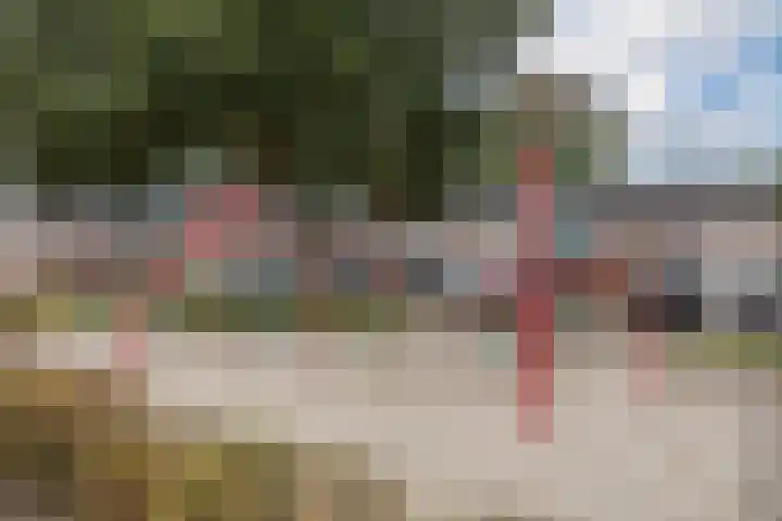 Spreeuwendonk 71 Veghel thumbnail 56