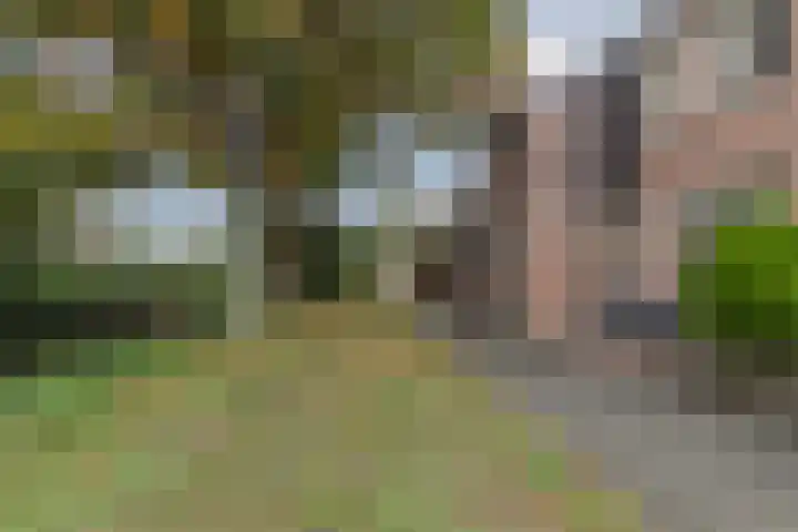 Spreeuwendonk 71 Veghel thumbnail 7