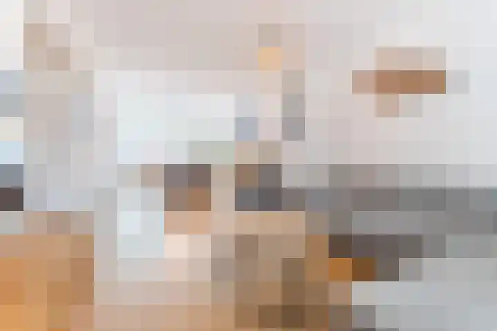 Spreeuwendonk 77 Veghel thumbnail 12
