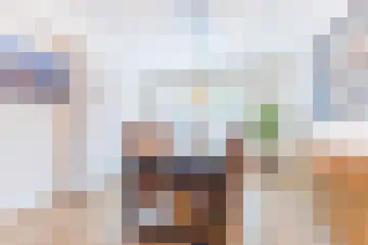 Spreeuwendonk 77 Veghel thumbnail 13