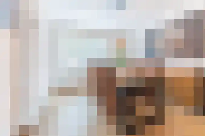Spreeuwendonk 77 Veghel thumbnail 14