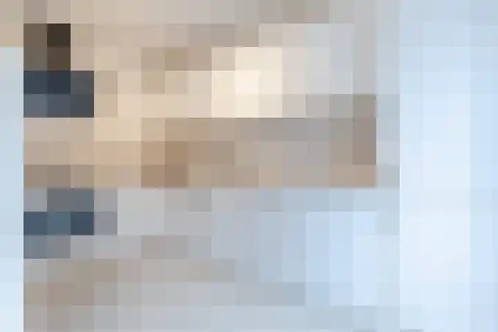 Spreeuwendonk 77 Veghel thumbnail 15