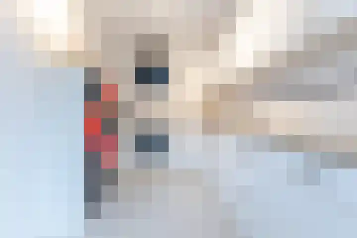 Spreeuwendonk 77 Veghel thumbnail 16