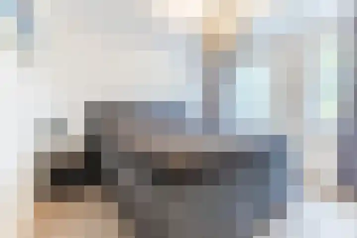 Spreeuwendonk 77 Veghel thumbnail 18