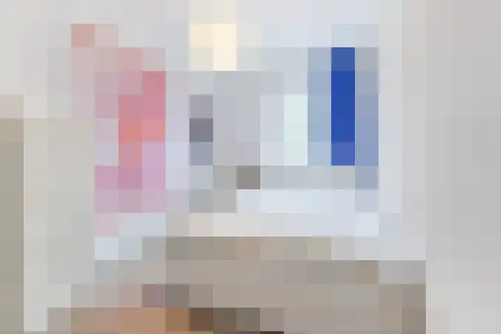 Spreeuwendonk 77 Veghel thumbnail 20