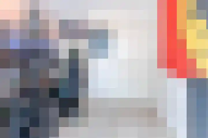 Spreeuwendonk 77 Veghel thumbnail 23