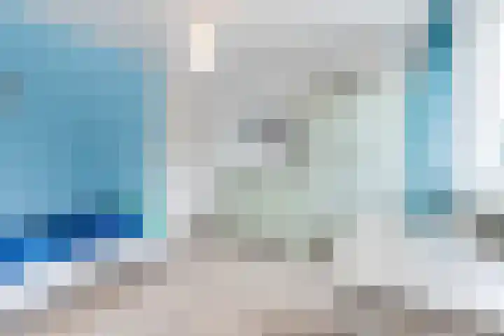 Spreeuwendonk 77 Veghel thumbnail 25