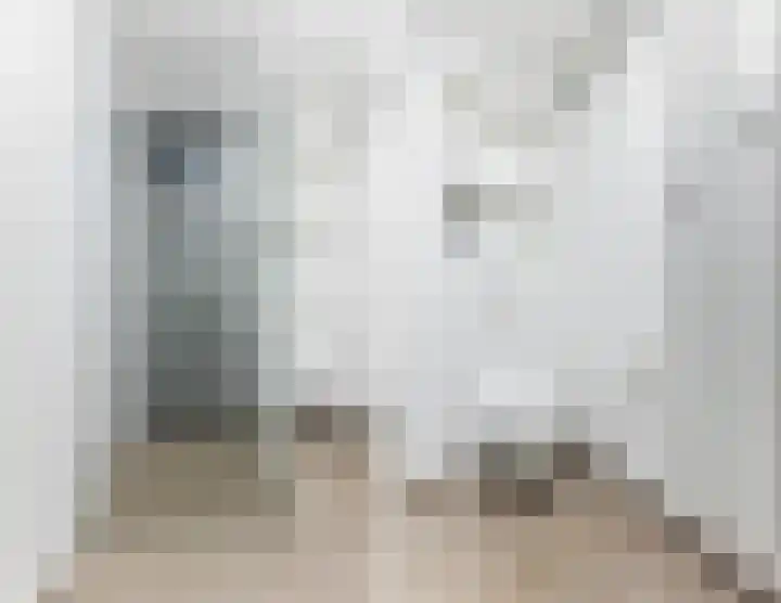 Spreeuwendonk 77 Veghel thumbnail 28