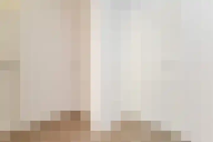 Spreeuwendonk 77 Veghel thumbnail 29