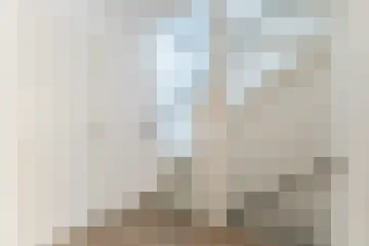 Spreeuwendonk 77 Veghel thumbnail 30