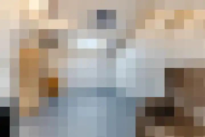 Spreeuwendonk 77 Veghel thumbnail 31