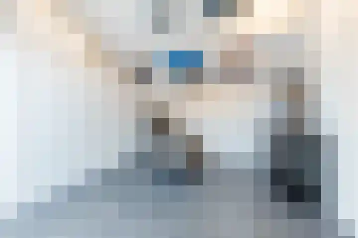 Spreeuwendonk 77 Veghel thumbnail 32