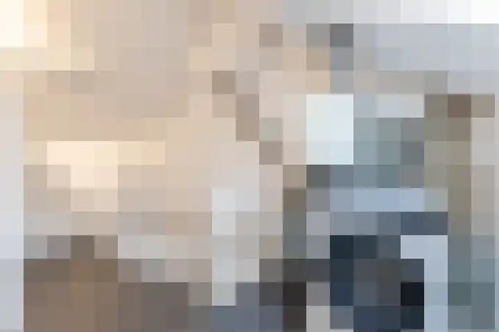 Spreeuwendonk 77 Veghel thumbnail 34