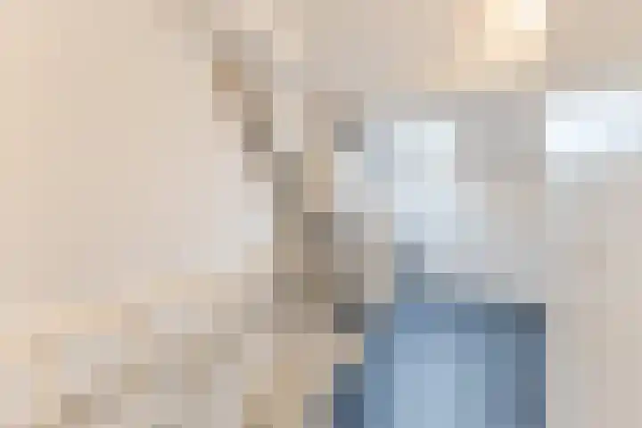 Spreeuwendonk 77 Veghel thumbnail 35