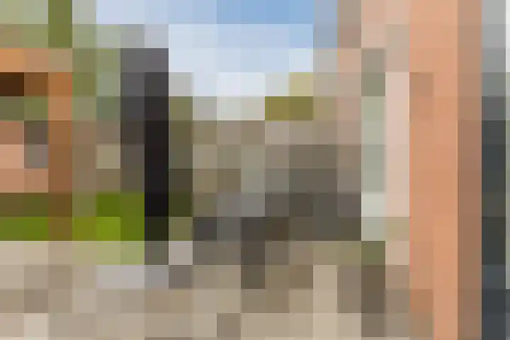 Spreeuwendonk 77 Veghel thumbnail 36