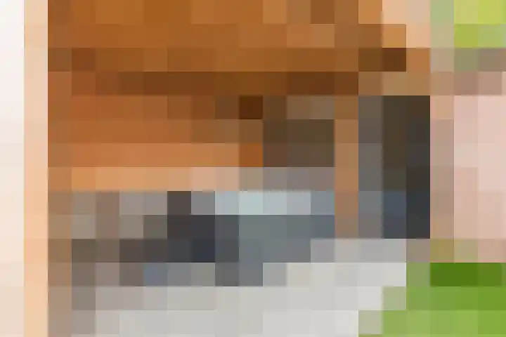 Spreeuwendonk 77 Veghel thumbnail 37